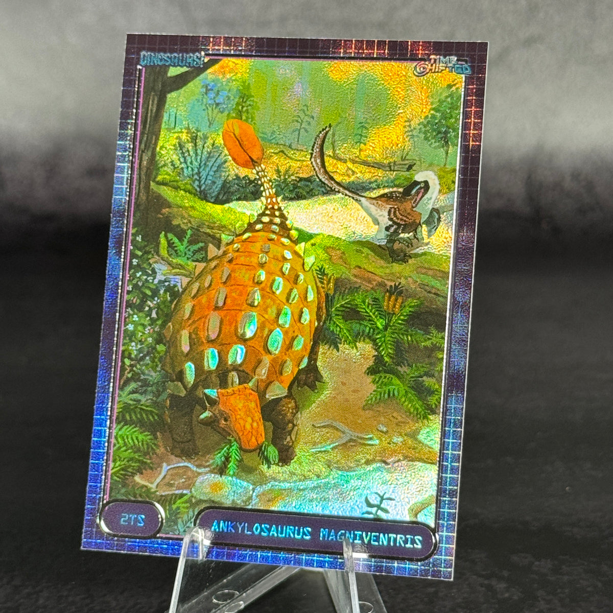TS02 | Ankylosaurus magniventris von Alessandro La Monica