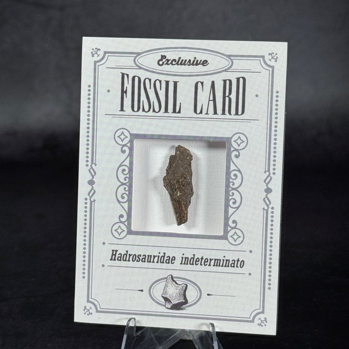 Fossil Card | Frammento d'osso | Hadrosauridae indeterminato | BraccoTCG